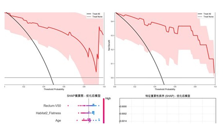DCA 决策曲线示例