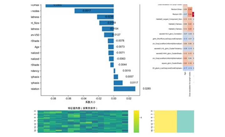 特征筛选结果示例