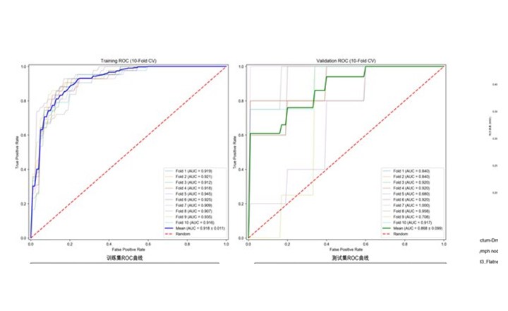 训练集与测试集 ROC 曲线示例