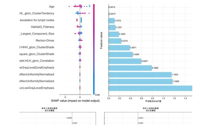 SHAP 可解释性分析示例